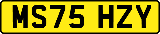 MS75HZY