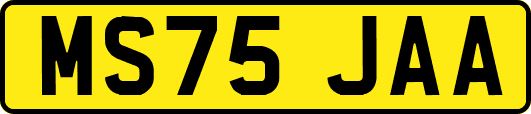MS75JAA