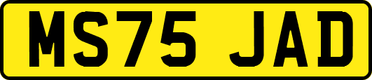 MS75JAD