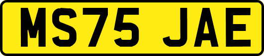 MS75JAE