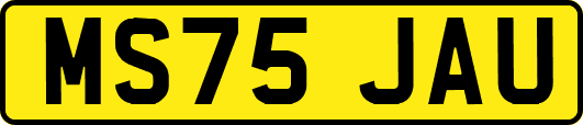 MS75JAU