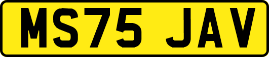 MS75JAV