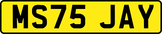 MS75JAY