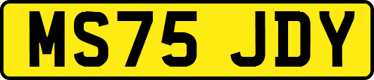 MS75JDY
