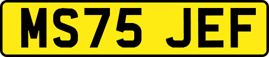 MS75JEF