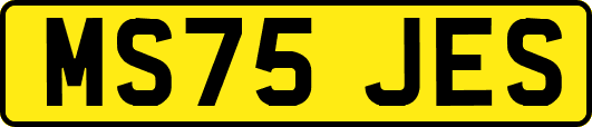 MS75JES