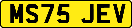 MS75JEV