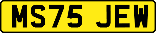 MS75JEW