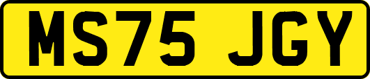 MS75JGY