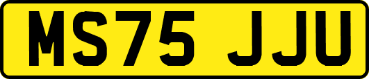 MS75JJU