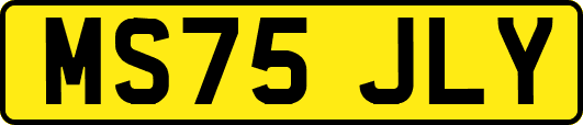 MS75JLY