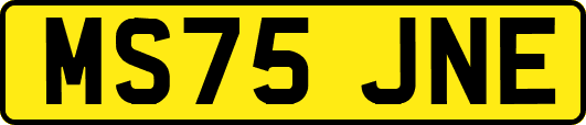 MS75JNE