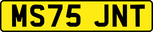MS75JNT
