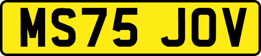 MS75JOV
