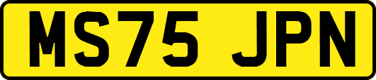 MS75JPN
