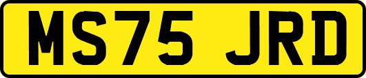 MS75JRD