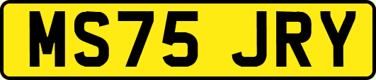 MS75JRY