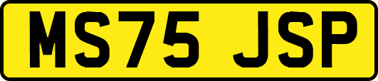 MS75JSP