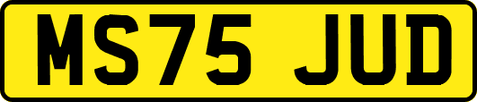 MS75JUD