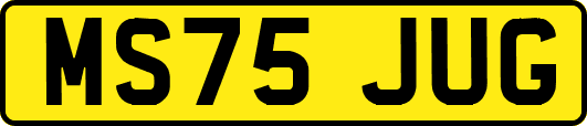 MS75JUG