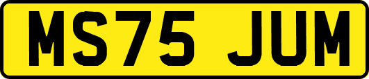 MS75JUM