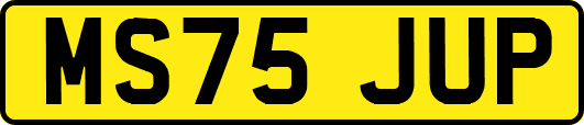 MS75JUP