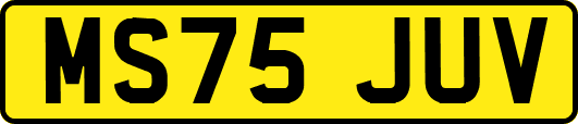 MS75JUV