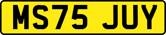 MS75JUY