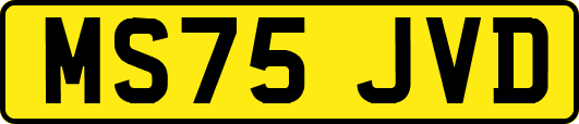 MS75JVD