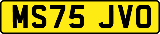 MS75JVO