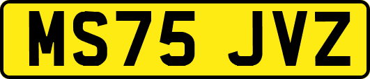 MS75JVZ