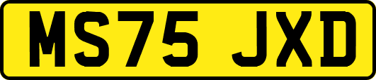 MS75JXD