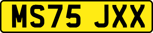 MS75JXX