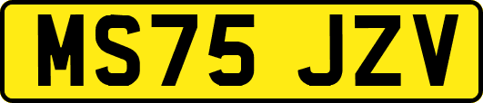 MS75JZV