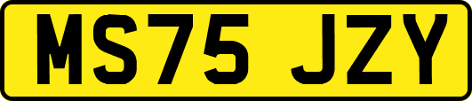 MS75JZY