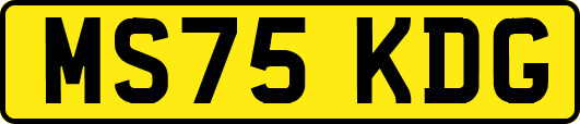 MS75KDG