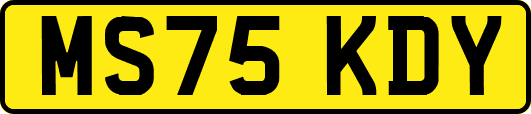 MS75KDY