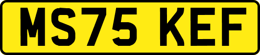 MS75KEF