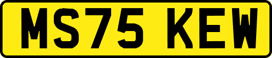MS75KEW