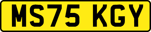 MS75KGY