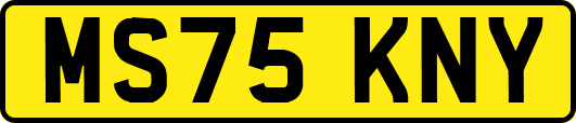 MS75KNY