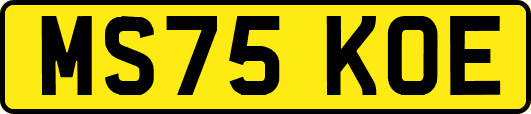 MS75KOE