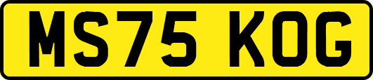MS75KOG