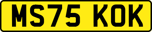 MS75KOK