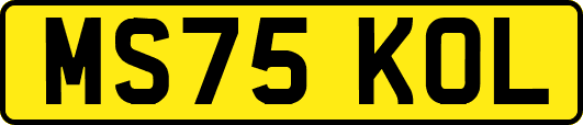 MS75KOL