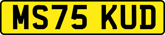 MS75KUD