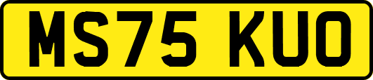 MS75KUO