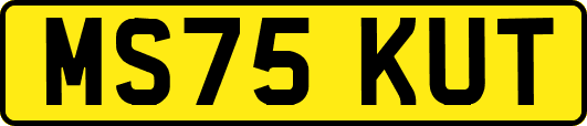 MS75KUT