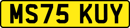 MS75KUY