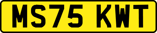 MS75KWT